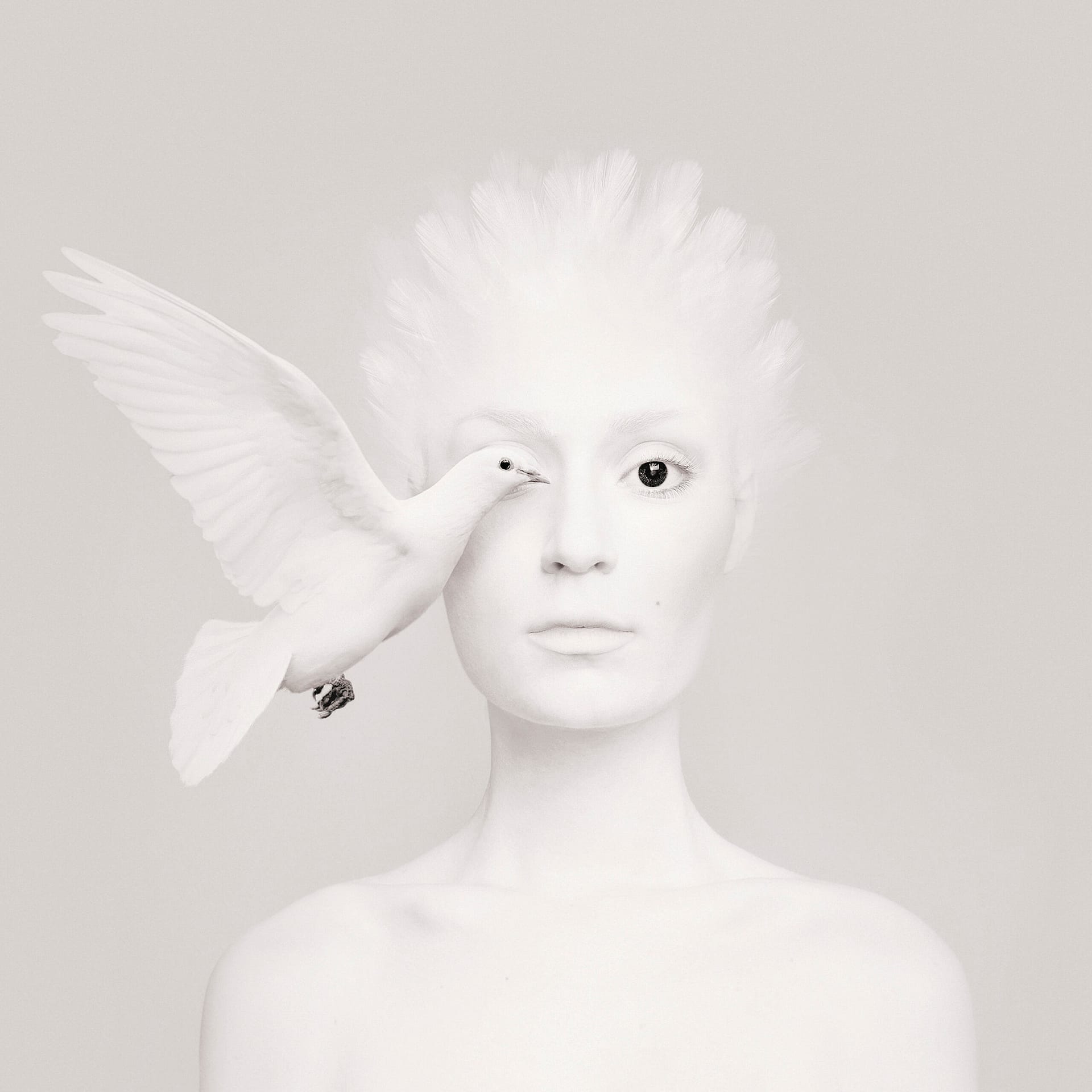 dove