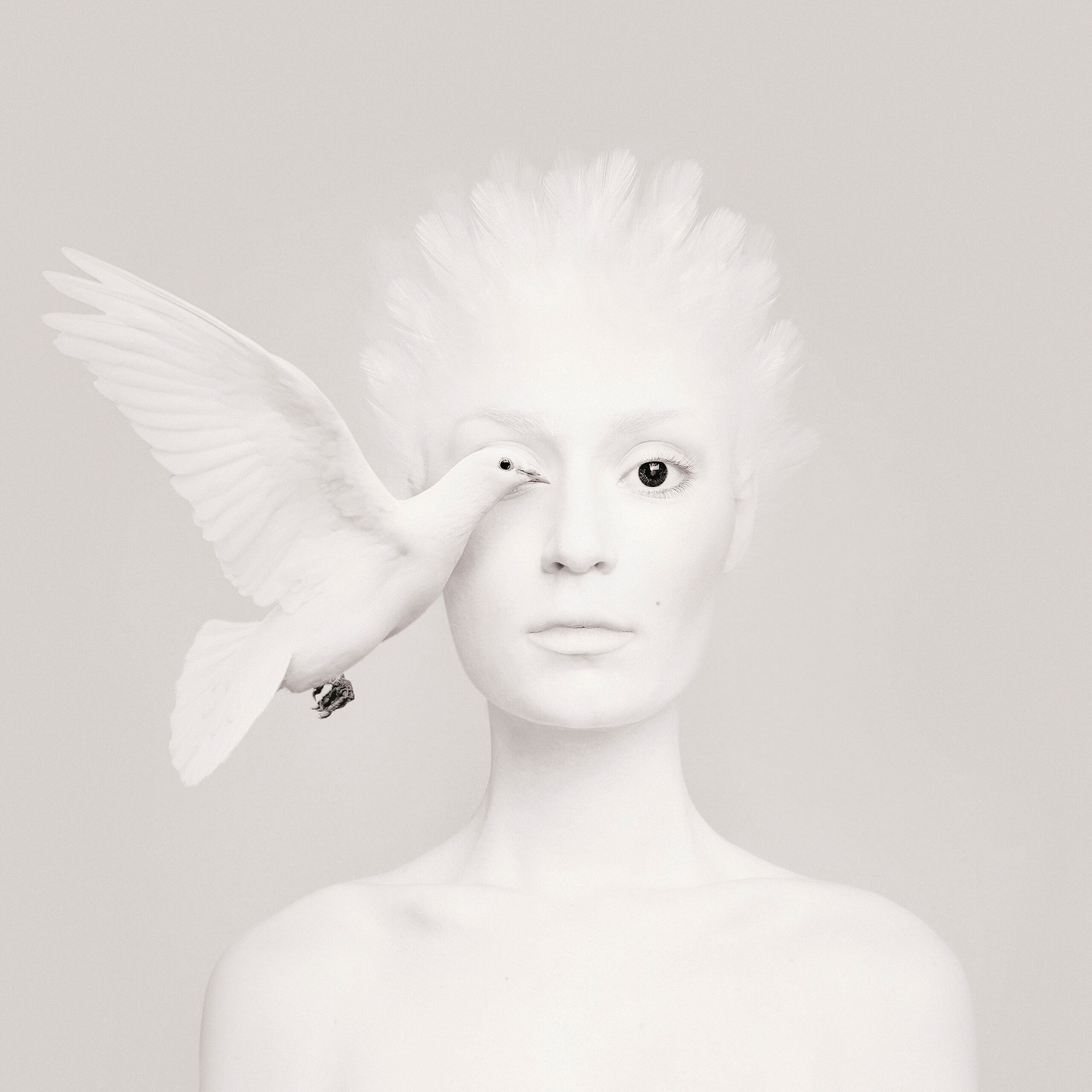 dove